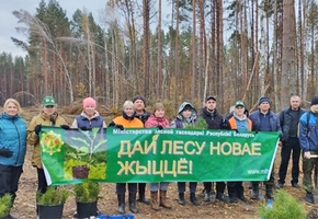В Гродненской области в рамках акции «Дай лесу новае жыццё!» высадят 300 га новых насаждений