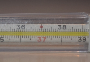 Коронавирус не «всё». Отмечается рост заболеваемости в регионе и в стране