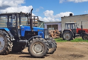 В Вороновском районе у животновода выявили 1,9 промилле, а у его коллеги из-под Кореличей — 1,01. В АПК региона проходят проверки