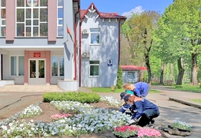 Ледовый дворец, ЗАГС, пешеходная улица, путепровод. В ЖКХ рассказали, какие объекты будут озеленять в Лиде