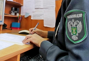 Россельхознадзор выявил в сухом молоке Лидского молочно-консервного комбината бактерии