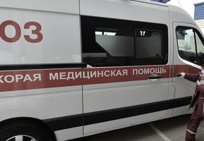 В Вороновском районе мужчина умер от укуса пчел