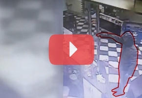 В Лидском районе молодой человек с пневматическим пистолетом ограбил заправку