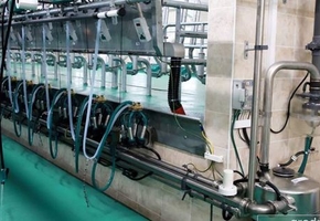 Новую молочно-товарную ферму ввели в эксплуатацию в Вороновском районе