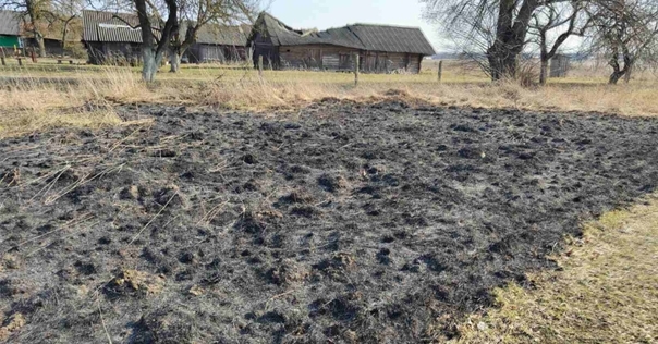 Под Лидой при самостоятельном тушении возгорания мужчина упал в огонь