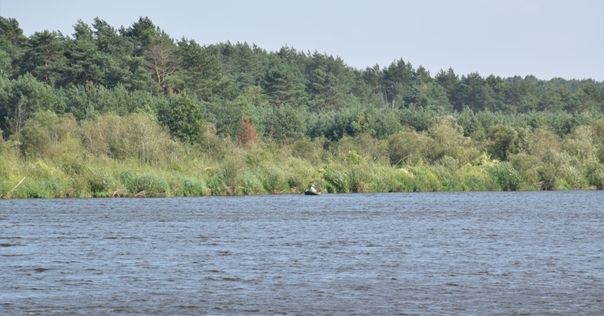 Как изменился уровень воды в Немане после ливней, и что ждет реку в ближайшем будущем?