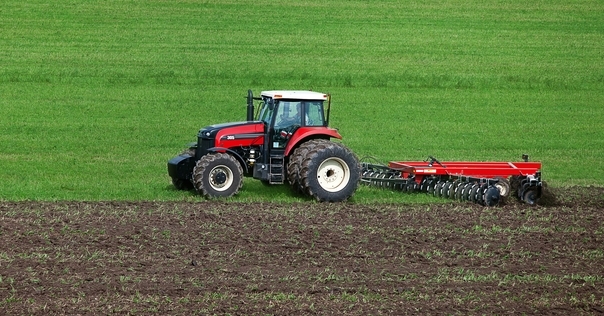 Немецкий инвестор начал обработку первых гектаров луковых полей на Лидчине