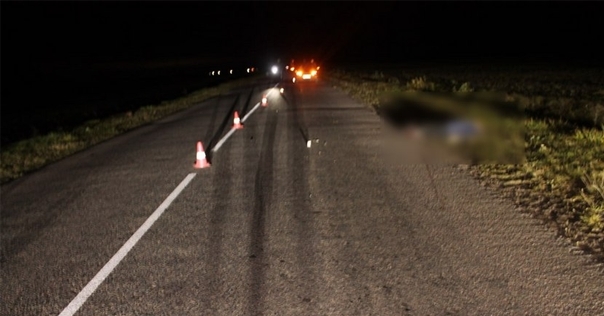 Пьяный бесправник в Вороновском районе насмерть сбил пешехода и скрылся