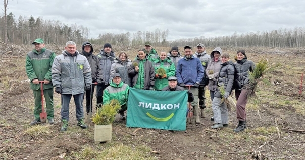 Сотрудники компании «Лидкон» высадили на территории Бердовского лесничества Лидского района около  5000 саженцев