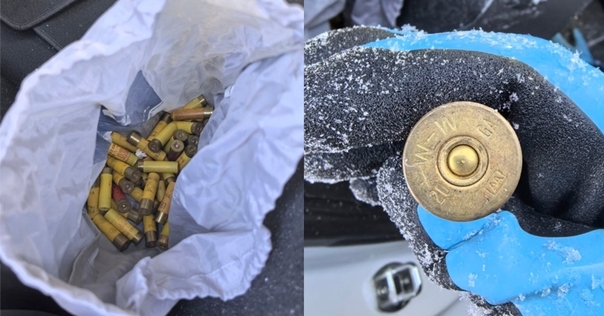 Во ввезённом из Литвы автомобиле таможенники обнаружили спрятанные боевые патроны