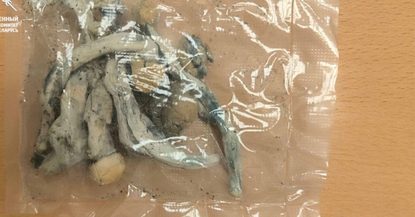 Через п/п «Бенякони» гражданин РБ пытался ввести запрещённые вещества. Ему грозит до 10 лет, а его приятелю — до 5 лет тюрьмы