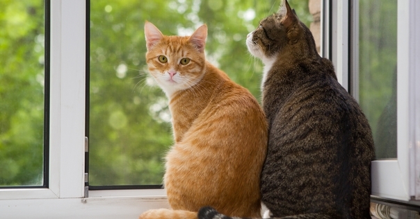 Отопление могут отключить уже в среду