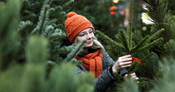Ёлочные базары в Лиде откроются 18 декабря