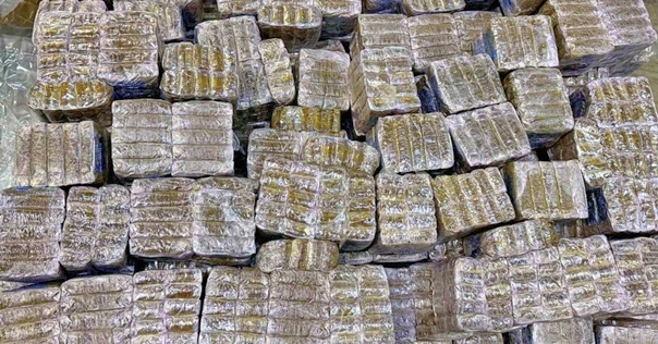 Региональной таможней пресечена попытка ввоза крупной партии гашиша польским перевозчиком