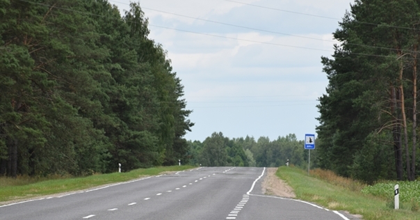 Ограничения на посещение лесов введены почти во всех районах