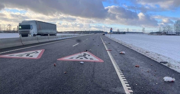 На трассе М6 под Лидой перевернулся  минивен с шестью пассажирами. Погибли два ребёнка и две женщины