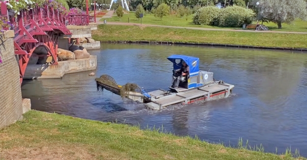 Реку Лидейку и Замковое озеро очищают от водорослей