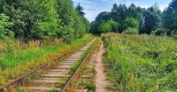 Ранее судимого жителя Лиды подозревают в покушении на изнасилование и совершении разбойного нападения