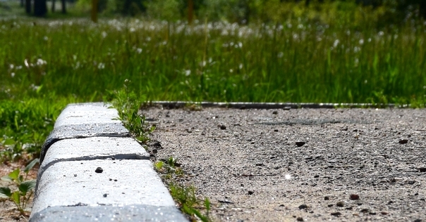 В Лидском районе с мая с укусами клещей обратились 306 человек