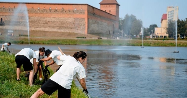 Сабралi 2 тоны ціны і пасадзілі алею дрэваў. Калектыў кампаніі «Лідскае піва» сумясціў адпачынак і суботнiк