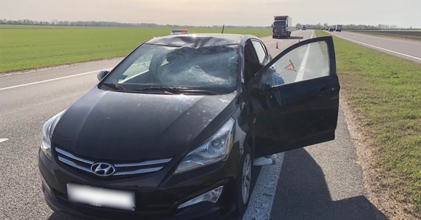 Косуля выбежала перед Hyundai на трассе М6