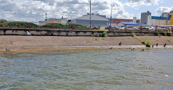 На Лидском озере мальчик поскользнулся и упал в воду