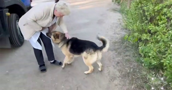 В Лиде спасатели пришли на помощь застрявшей в заборе собаке