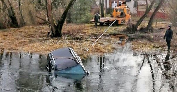 В Лидском районе Renault угодил в реку. Погибло животное