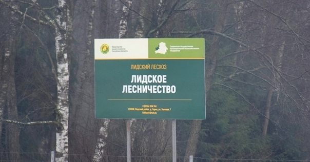 Акцыя «Дай лесу новае жыццё!» пройдзе ў Беларусі з 17 па 24 кастрычніка