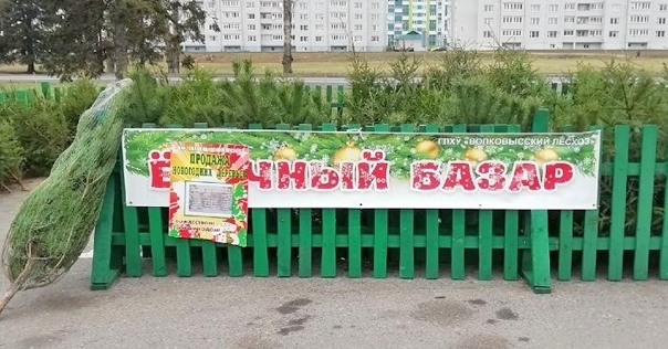 12 ёлочных базаров начнут работу в Лидском районе