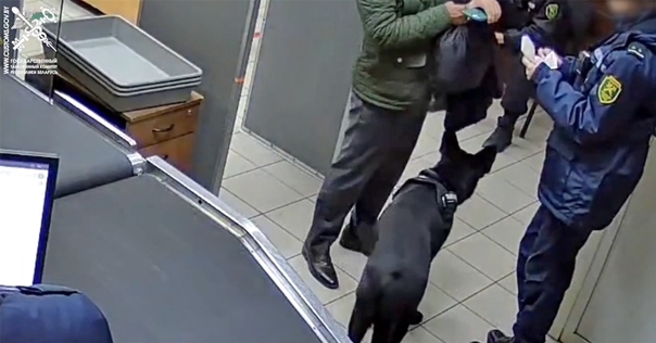 Задержаны граждане Беларуси и Италии, намеревавшиеся ввезти из Литвы запрещенные вещества