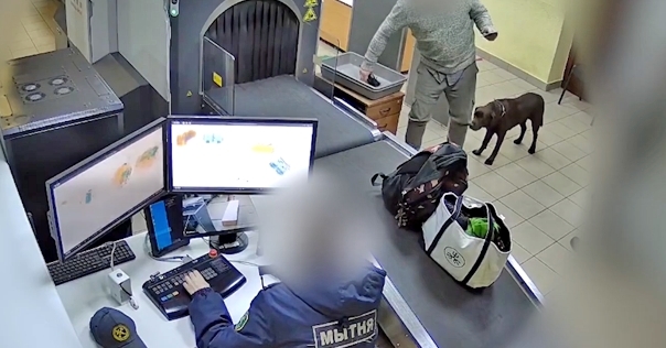 Собака учуяла, а судэксперты из Лиды подтвердили: белорус пытался провезти из Литвы психотроп