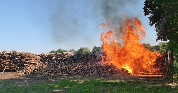 В Лидском районе на пожаре спасено свыше 3000 кубометров древесины. Огнём было охвачено 80 кв. метров складированных дров