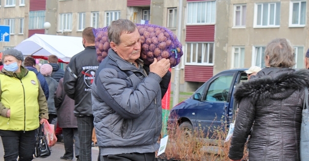 Список всех весенних ярмарок в Гродненской области. В Лиде первая ярмарка состоится 15 апреля