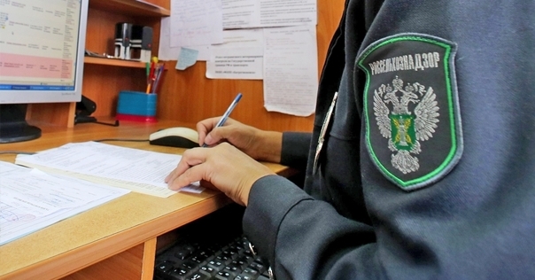 Россельхознадзор выявил в лидской сухой молочке бактерии группы кишечной палочки. Всего претензии к 17-и предприятиям