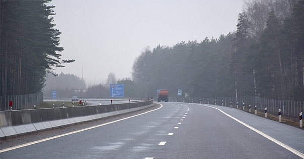 В регионе на трассах в 2025 году планируют установить 35 км металлических заграждений от диких животных