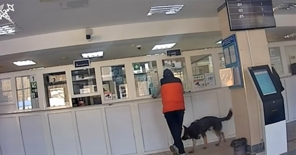 В п/п Бенякони у дальнобойщика из Сербии обнаружили 8 грамм амфетамина. Теперь ему грозит до 10 лет тюрьмы