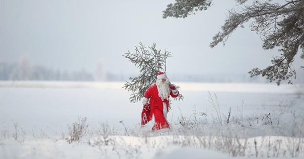В МНС напомнили Дедам Морозам, Снегурочкам и прочим гномам о необходимости уплатить соответствующий налог