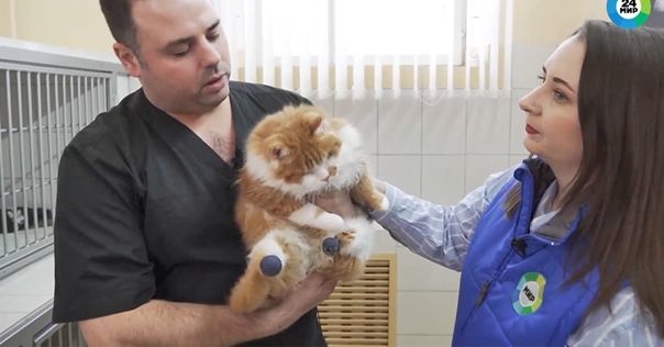 Первый Центр спасения животных открылся в Беларуси в Лиде