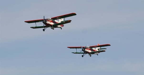 С 16 сентября в Лиде и регионе самолёты МЧС будут разбрасывать приманки с вакциной для диких животных