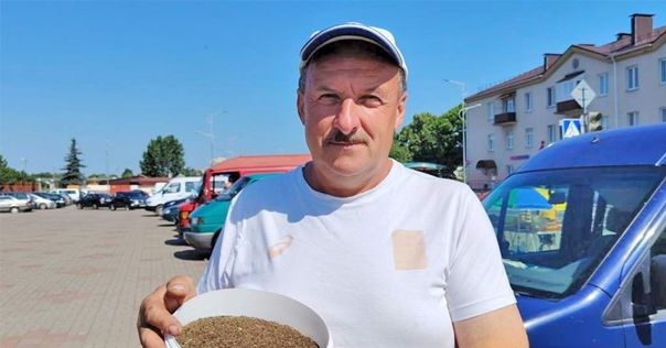 Расторопша, чёрный тмин, пажитник, эхинацея. Фермер из Лидского района рассказал о выращивании трав