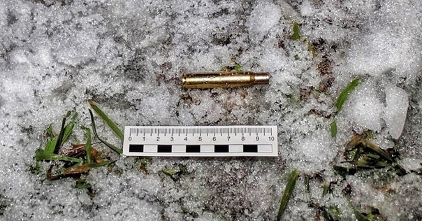 В Гродненской области охотник по неосторожности застрелил егеря