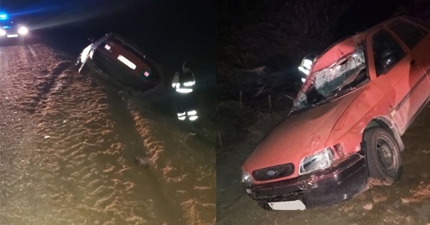 В столкновении легковушки с лосем под Лидой пострадал подросток. Животное погибло