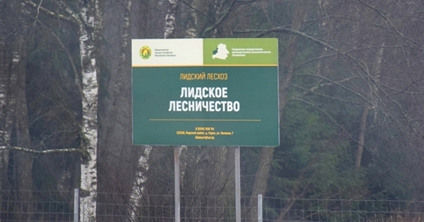 В лесхозе рассказали, сколько дров продали населению, и какова их стоимость