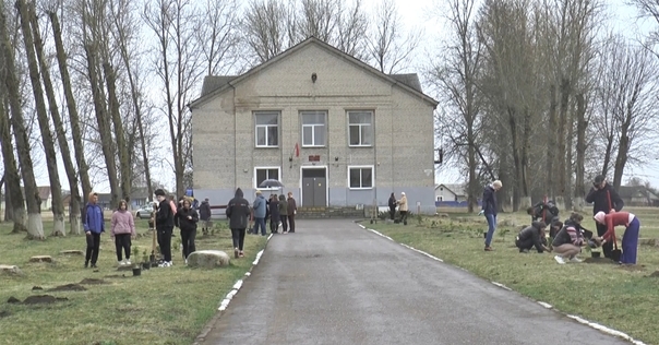 В Беларуси проводят акцию «Дерево героя». Высаживаются сады, аллеи, и парки в памятных местах. Лидский район присоединился к акции