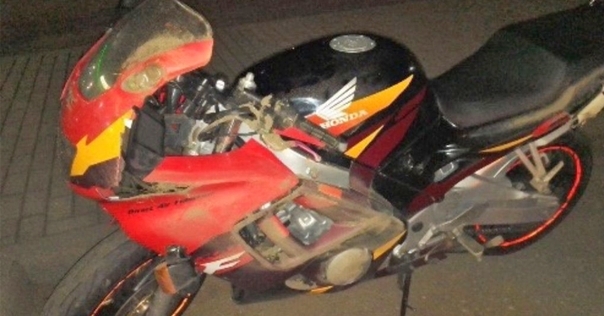 В Лидском районе мотоциклист наехал на косулю