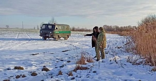 Лидские пограничники задержали гражданина Узбекистана, незаконно пересекавшего границу