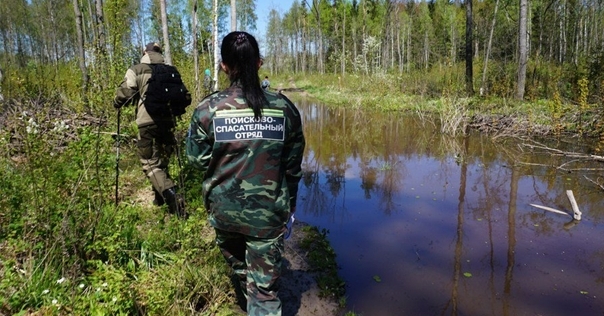 В Гродненской области с начала года в лесах заблудились 19 человек, 7 из них погибли
