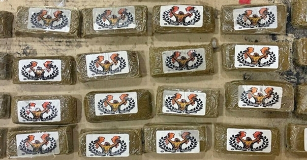 Гродненской региональной таможней пресечена попытка ввоза крупной партии гашиша польским перевозчиком