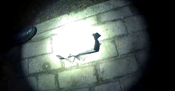 Лидские пограничники задержали латвийца с психотропами и коноплей